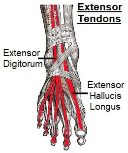 Pain on Top of Foot: Causes, Symptoms & Treatment