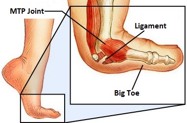 tendon under foot