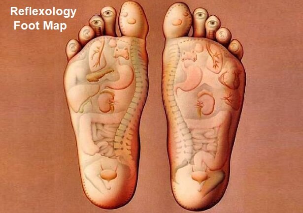 Foot Reflexology Chart Diagram 