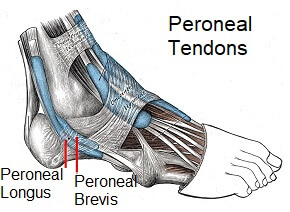 Pain On Outside Of Foot: Symptoms, Diagnosis & Treatment