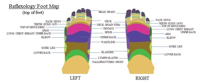Reflexology Foot Chart 4957